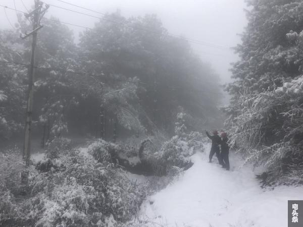 10kV贝古线线路特巡 (3)