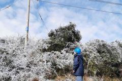 冰天雪地保电人——记曲靖富源供电局老厂供电所杨玲春节保电二三事