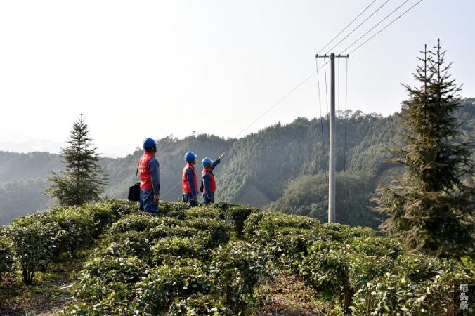 南方电网广西新电力梧州供电公司：贴心服务 力保春茶加工“不差电”